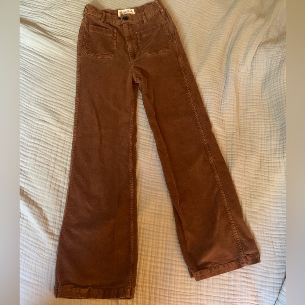 Mollusk Brown Cords